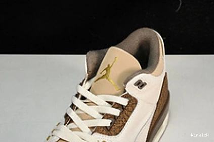 Jordan Air 3 CT8532-102 "Palomino" 1019